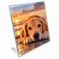 Square Glass Frame - 20 x 20