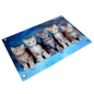 Sublimation blank 16" x 10" Toughened Glass Wall Panel