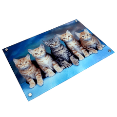 Sublimation blank 16" x 10" Toughened Glass Wall Panel